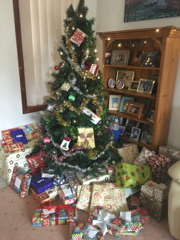 The Joy, or Irritation, of Family Christmas